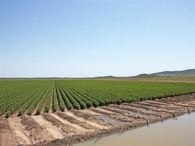 “Girrahween” Eidsvold-Theodore Road, Theodore QLD 4719