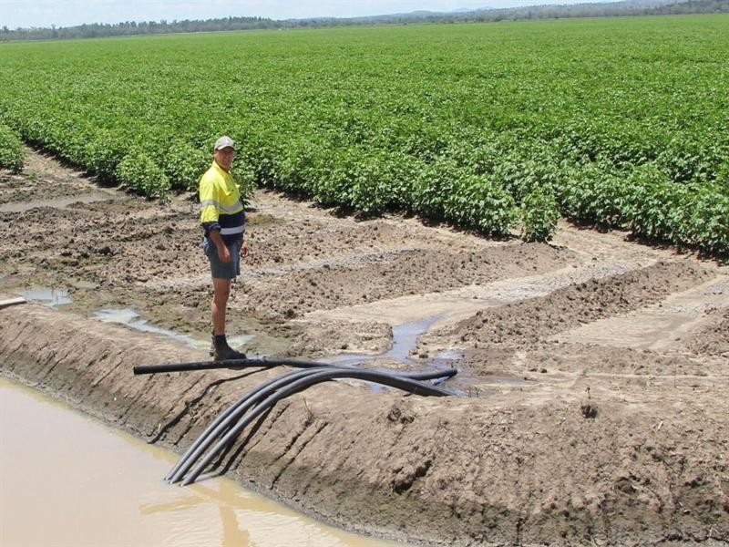 “Girrahween” Eidsvold-Theodore Road, Theodore QLD 4719