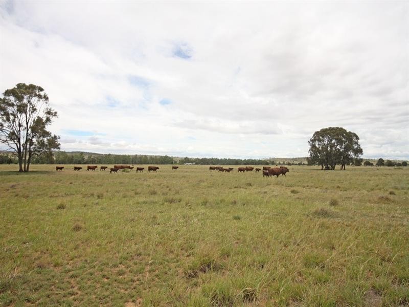 Biloela QLD 4715