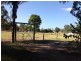 7853 Dawson Highway, Biloela QLD 4715