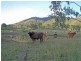 Mount Alma QLD 4680
