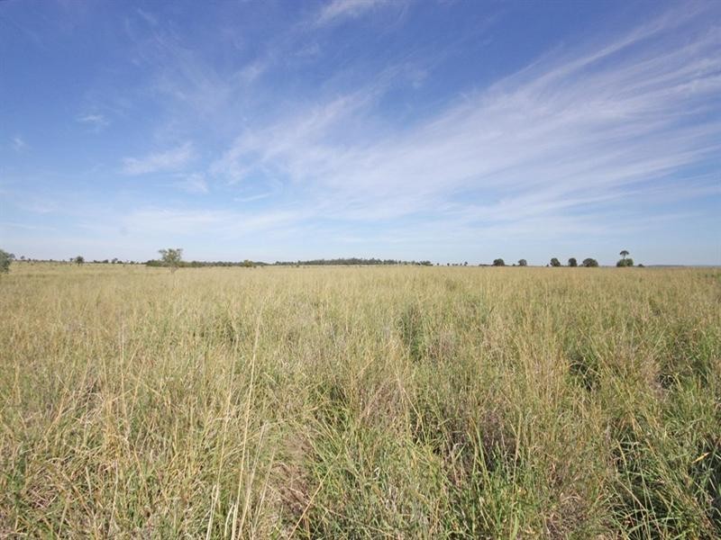 Bauhinia Downs Dawson Highway, Bauhinia QLD 4718