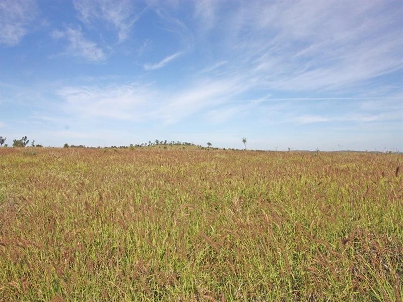 Bauhinia Downs Dawson Highway, Bauhinia QLD 4718