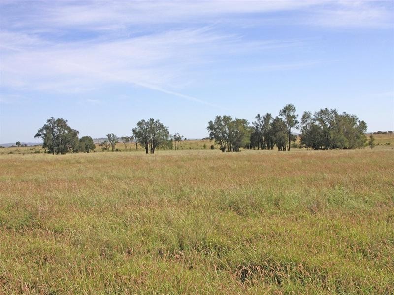 Bauhinia Downs Dawson Highway, Bauhinia QLD 4718