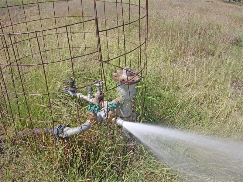 Bauhinia Downs Dawson Highway, Bauhinia QLD 4718