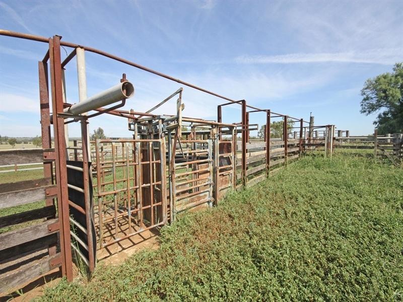 Bauhinia Downs Dawson Highway, Bauhinia QLD 4718