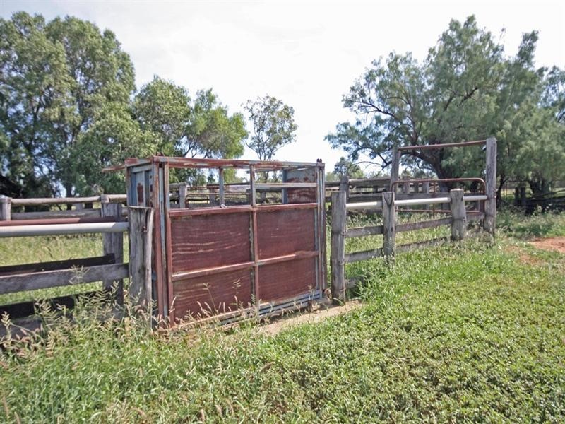 Bauhinia Downs Dawson Highway, Bauhinia QLD 4718