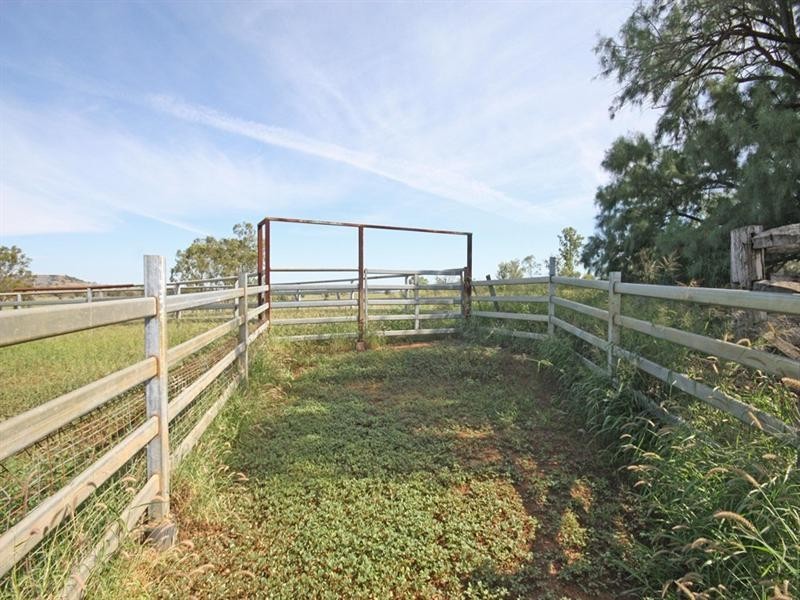 Bauhinia Downs Dawson Highway, Bauhinia QLD 4718