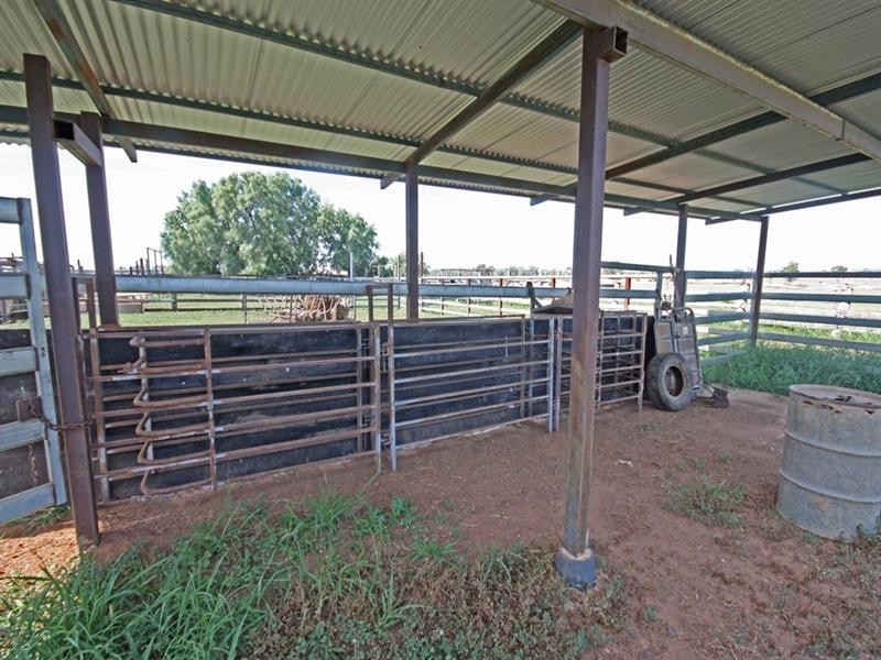 Bauhinia Downs Dawson Highway, Bauhinia QLD 4718