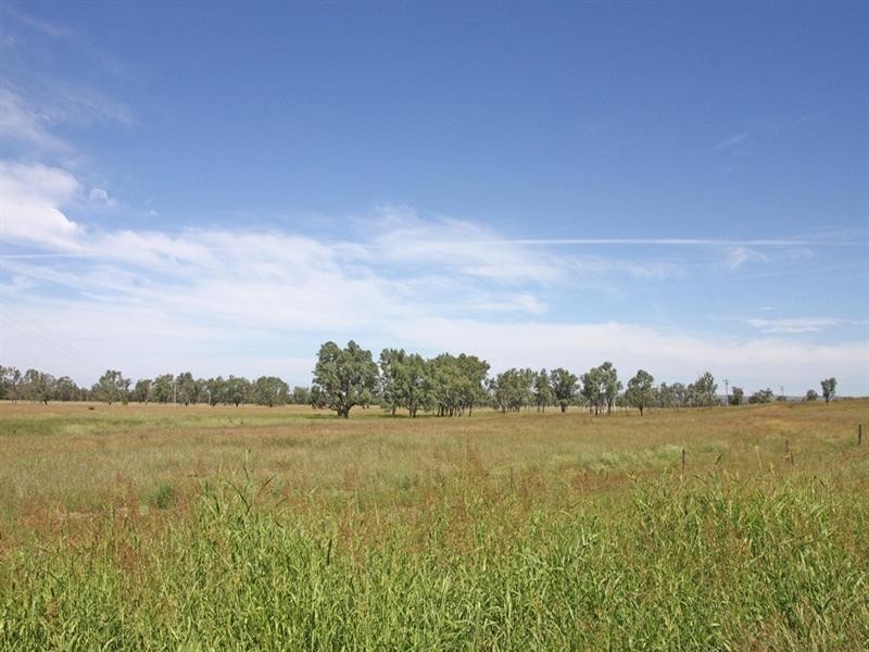 Bauhinia Downs Dawson Highway, Bauhinia QLD 4718