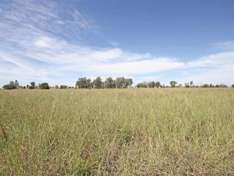 Bauhinia Downs Dawson Highway, Bauhinia QLD 4718