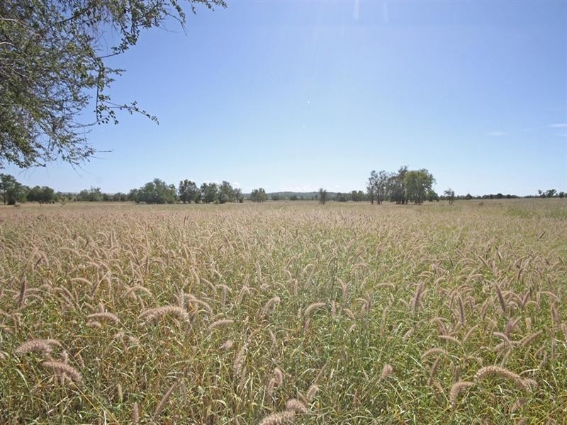 Bauhinia Downs Dawson Highway, Bauhinia QLD 4718