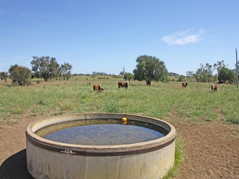Bauhinia Downs Dawson Highway, Bauhinia QLD 4718