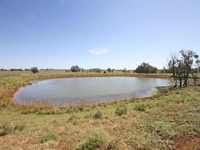 Bauhinia Downs Dawson Highway, Bauhinia QLD 4718