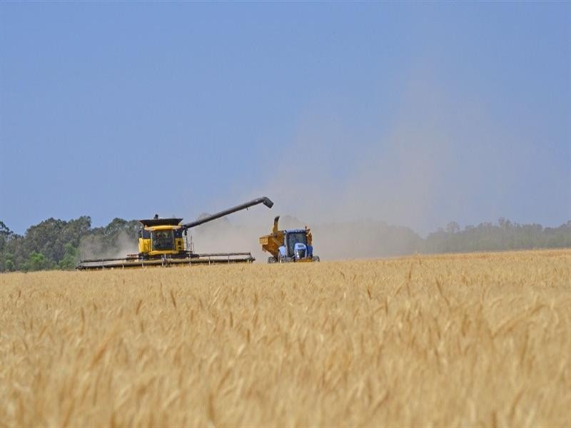 621 Moura-Bindaree Road, Moura QLD 4718