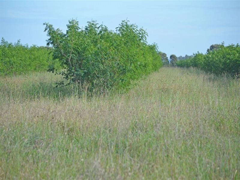 621 Moura-Bindaree Road, Moura QLD 4718