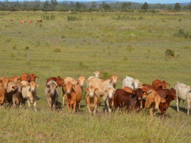 621 Moura-Bindaree Road, Moura QLD 4718