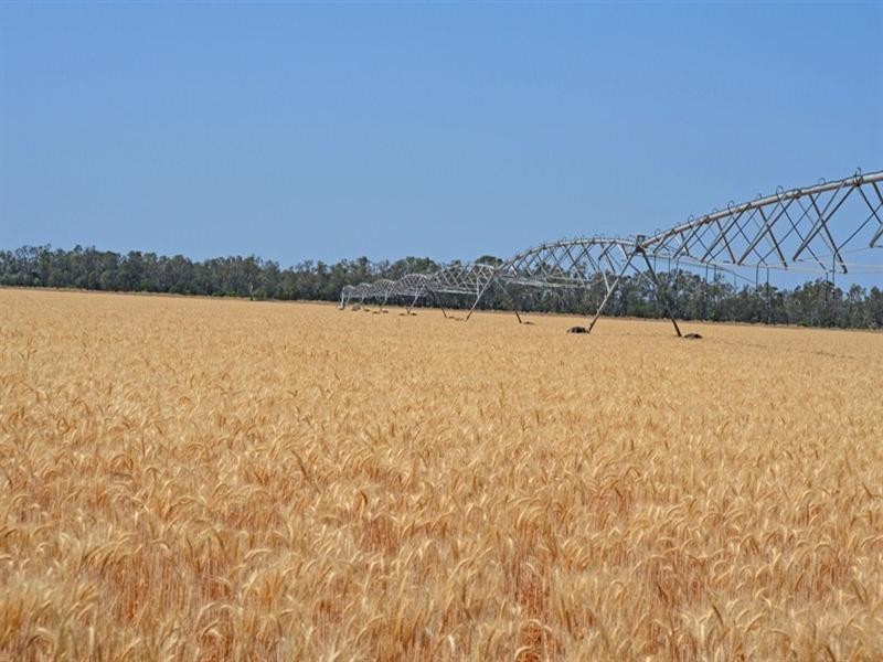 621 Moura-Bindaree Road, Moura QLD 4718