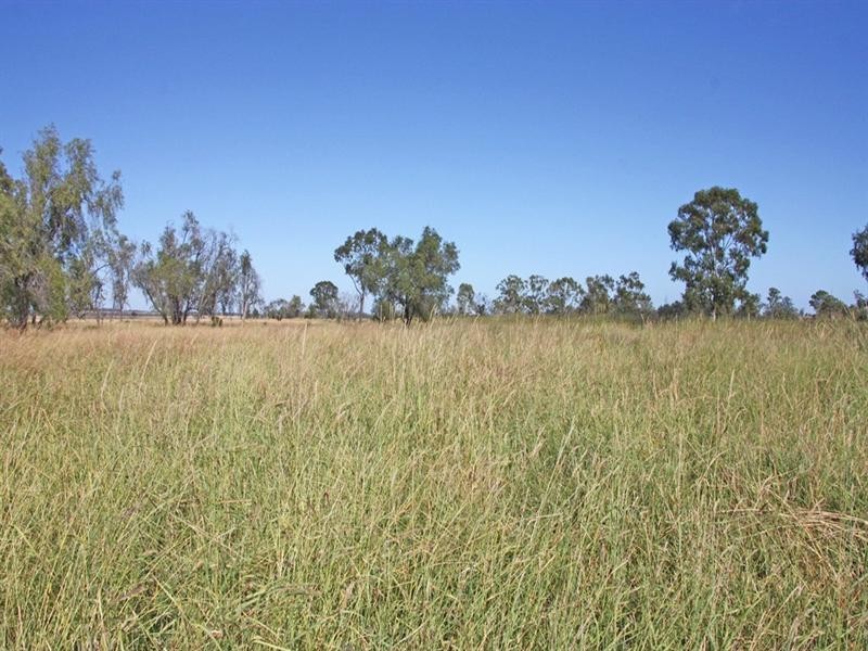 Theodore QLD 4719
