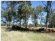 Wowan QLD 4702