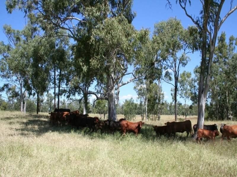 Wowan QLD 4702