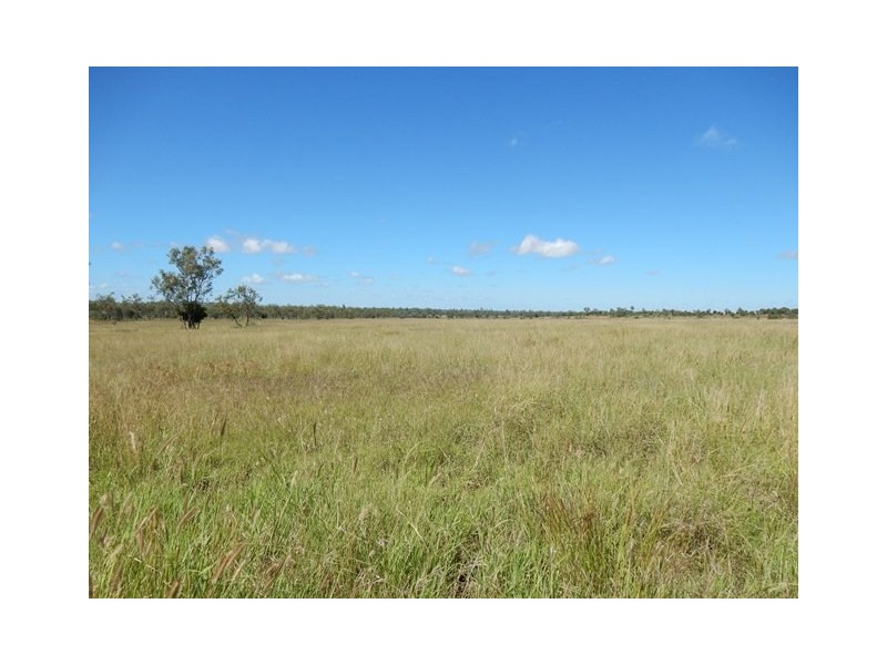 Theodore QLD 4719
