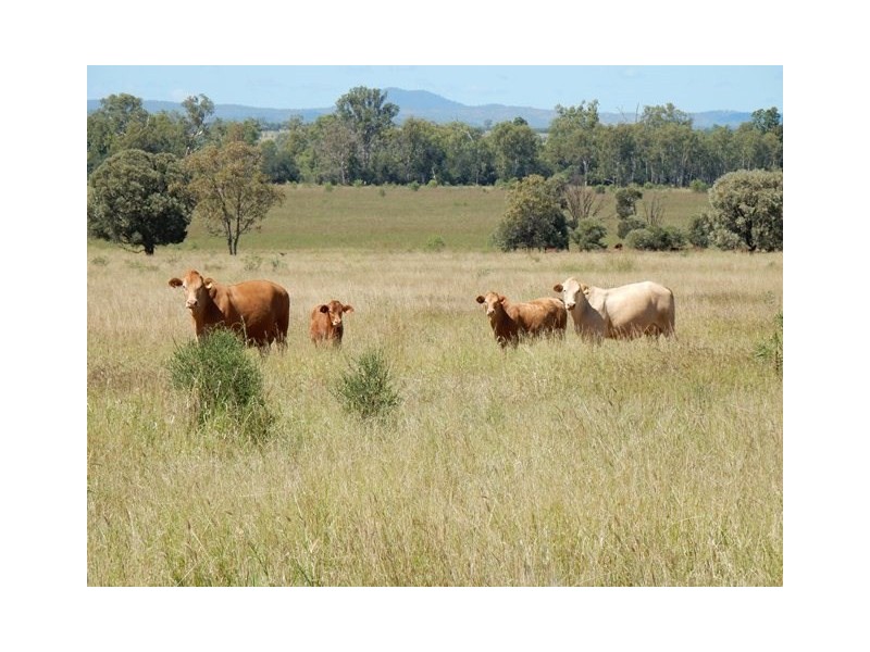 Theodore QLD 4719