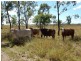 Theodore QLD 4719
