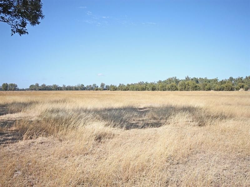 131 Saras Lane, Biloela QLD 4715