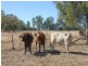 131 Saras Lane, Biloela QLD 4715