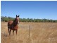 131 Saras Lane, Biloela QLD 4715