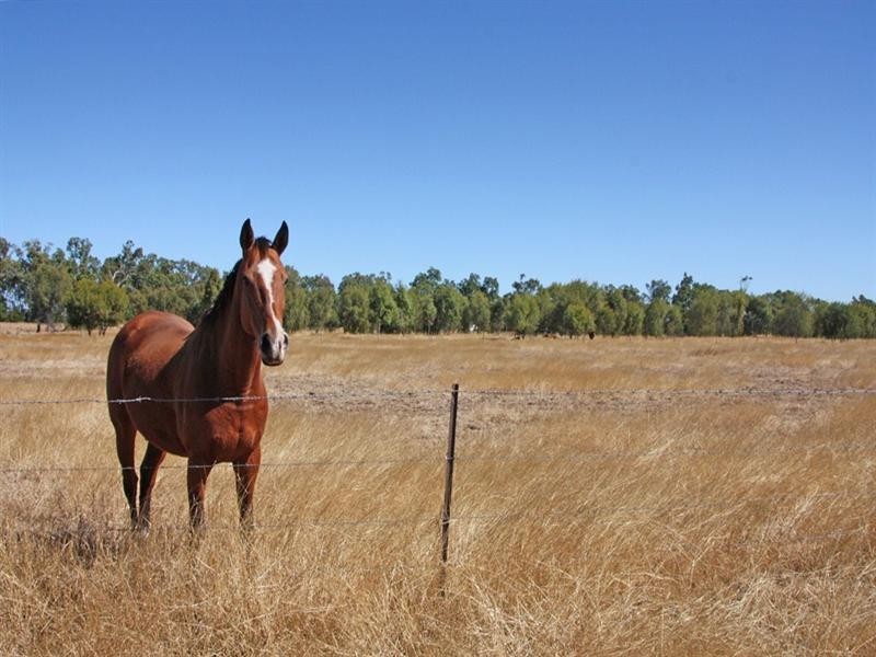 131 Saras Lane, Biloela QLD 4715