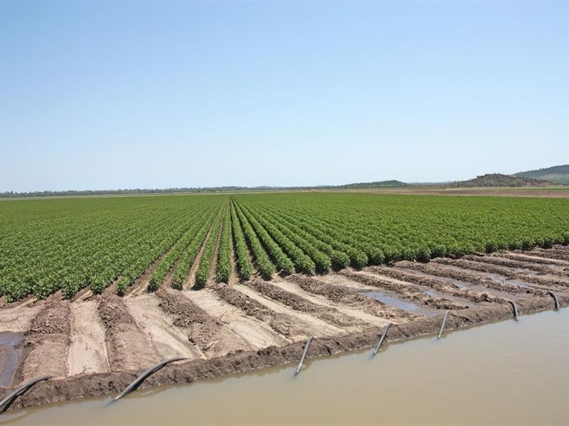 Theodore QLD 4719