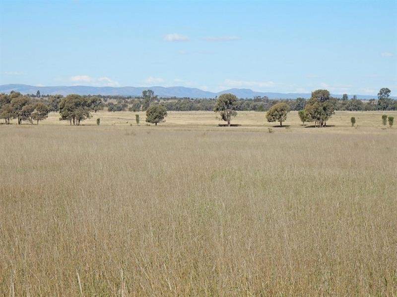 Biloela QLD 4715