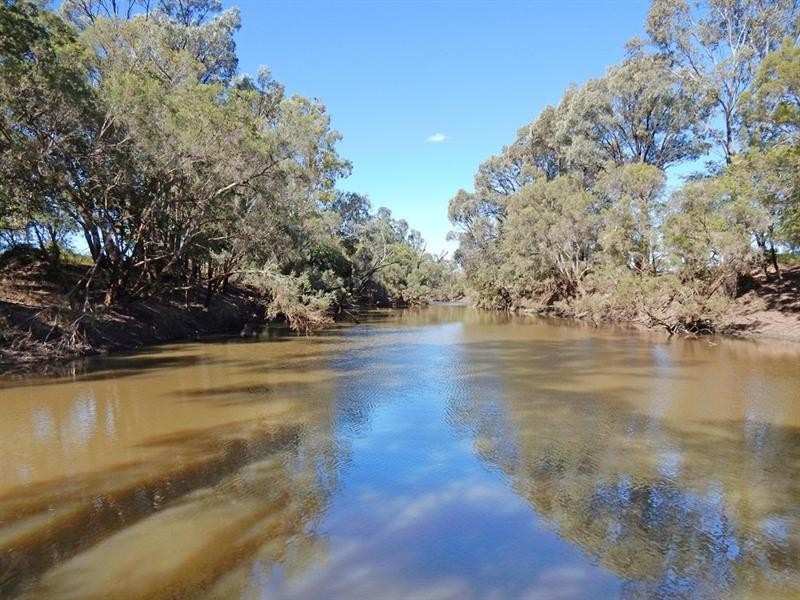 Biloela QLD 4715