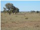 Biloela QLD 4715