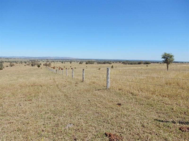 Biloela QLD 4715