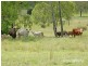 Thangool QLD 4716