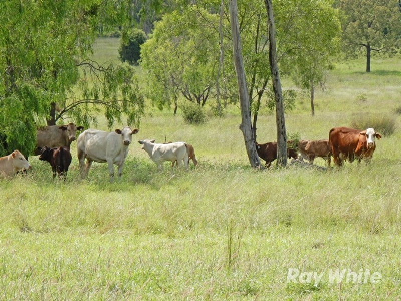 Thangool QLD 4716