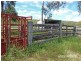 Thangool QLD 4716