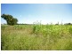 11507 Dawson Highway, Biloela QLD 4715