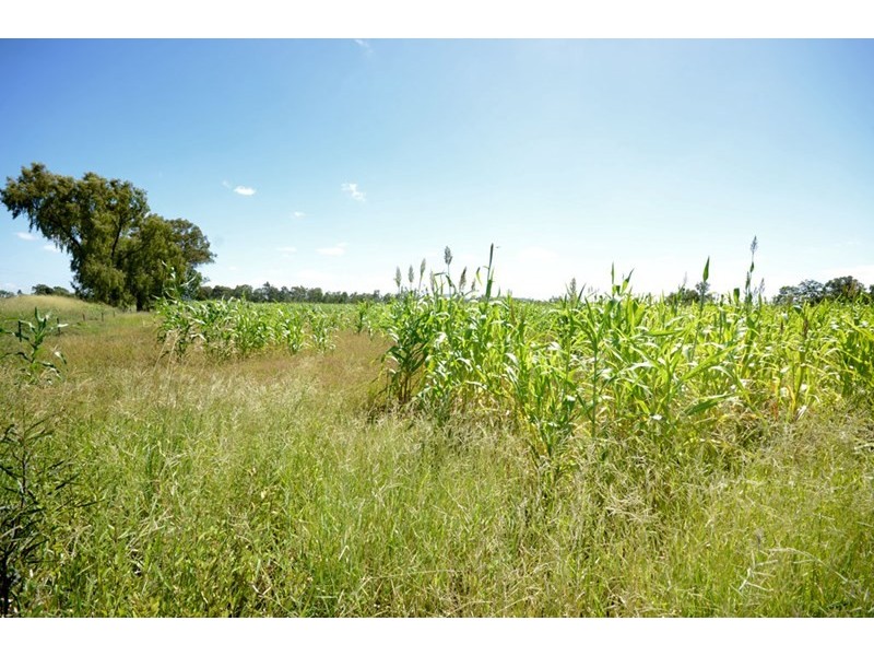 11507 Dawson Highway, Biloela QLD 4715