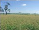 64 Barfield Road, Banana QLD 4702