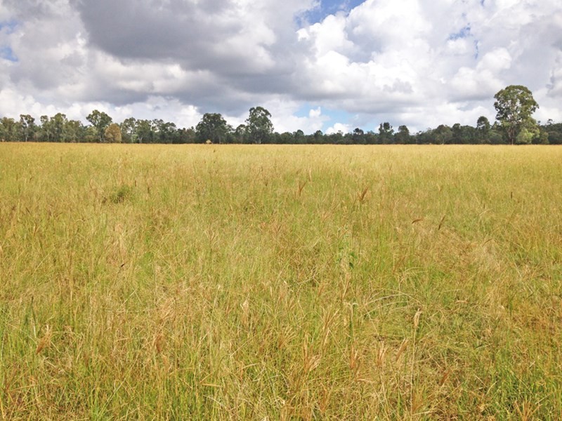 1016 Airport Road, Monto QLD 4630