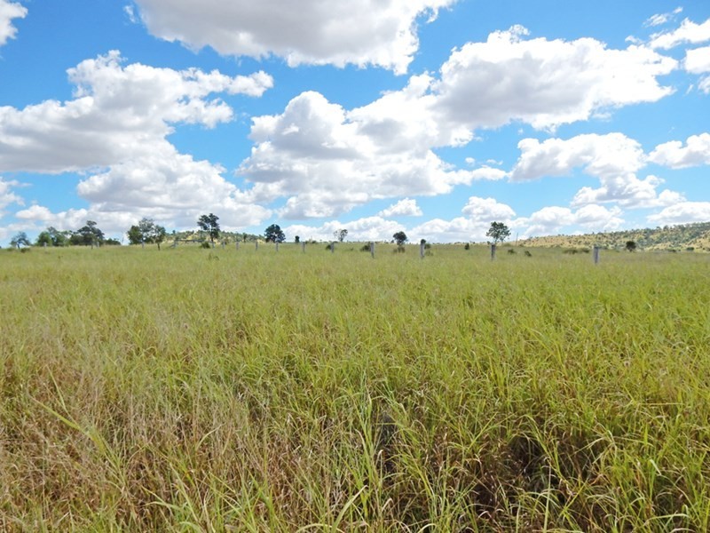 231 Cox-Millard Road, Thangool QLD 4716