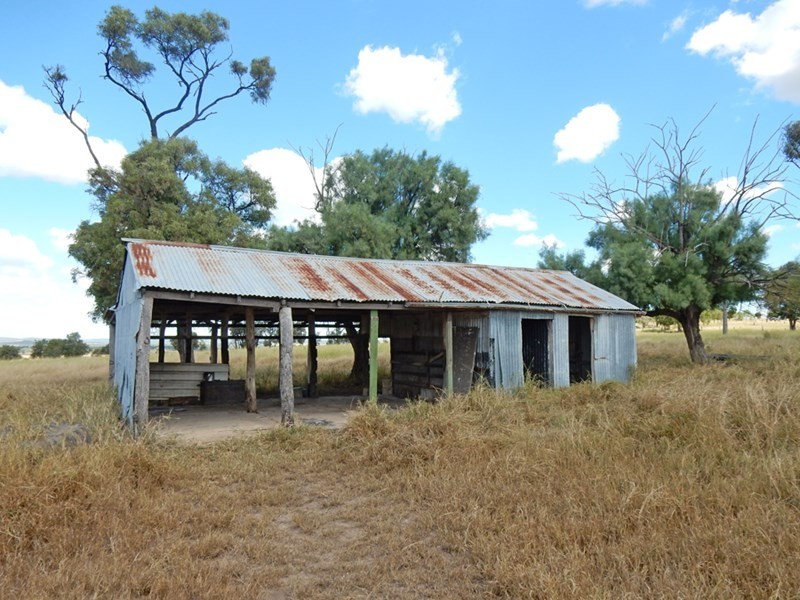 231 Cox-Millard Road, Thangool QLD 4716