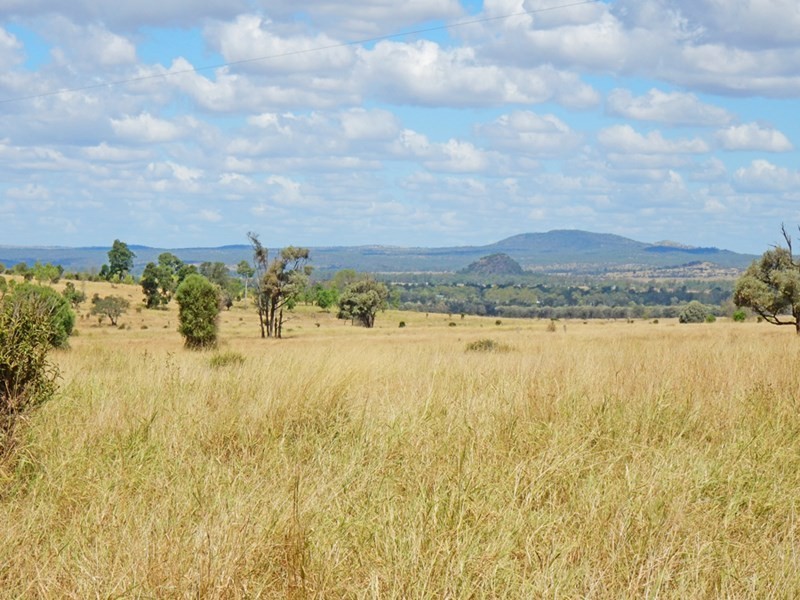 231 Cox-Millard Road, Thangool QLD 4716