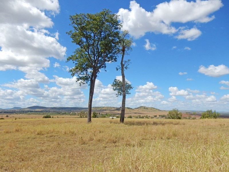 231 Cox-Millard Road, Thangool QLD 4716