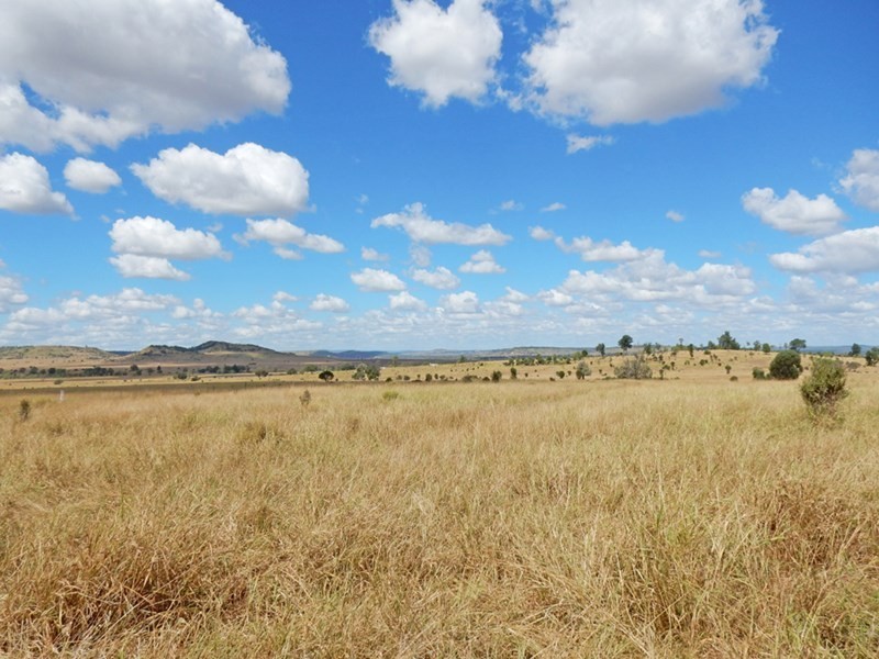 231 Cox-Millard Road, Thangool QLD 4716