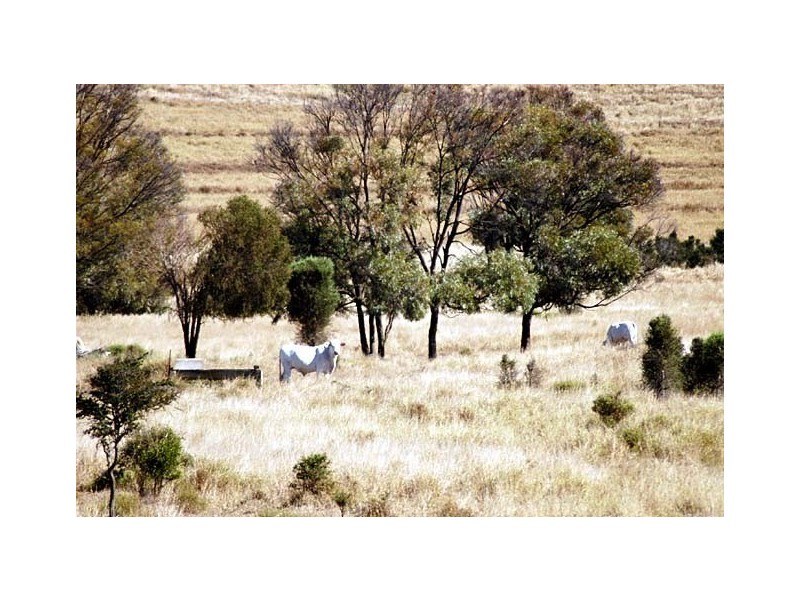 231 Cox-Millard Road, Thangool QLD 4716